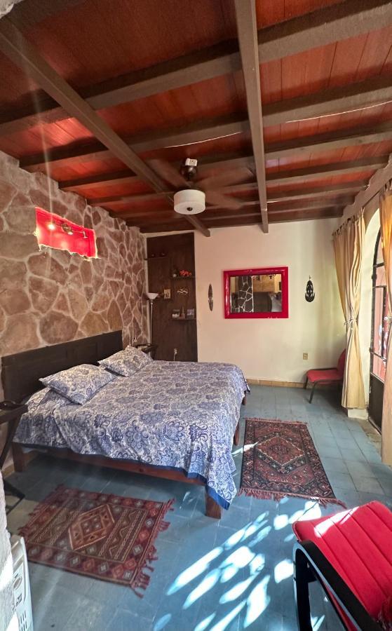 瓜纳华托Antigua Casa Del Limon别墅 外观 照片