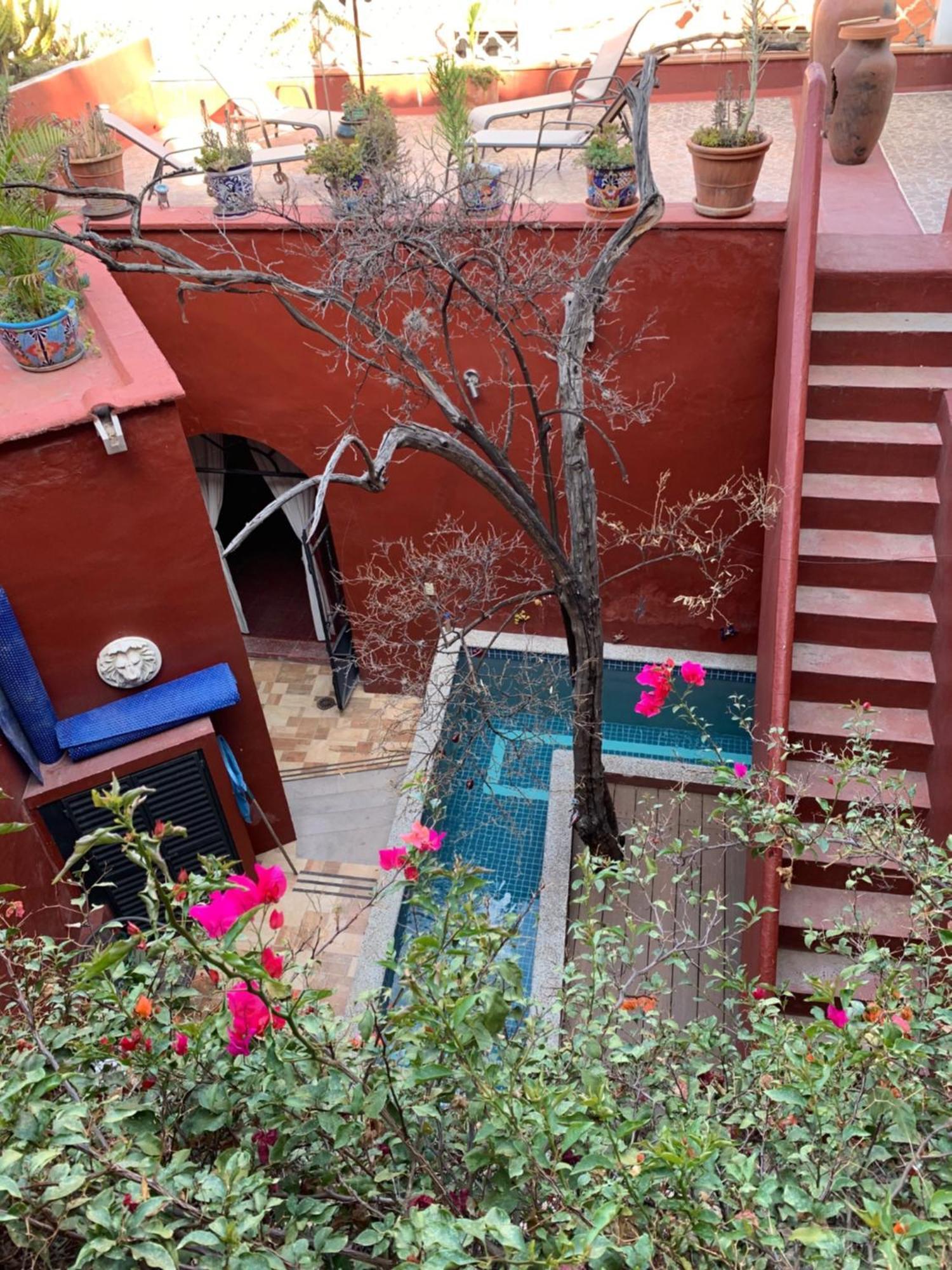 瓜纳华托Antigua Casa Del Limon别墅 外观 照片