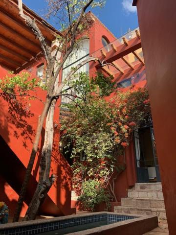 瓜纳华托Antigua Casa Del Limon别墅 外观 照片