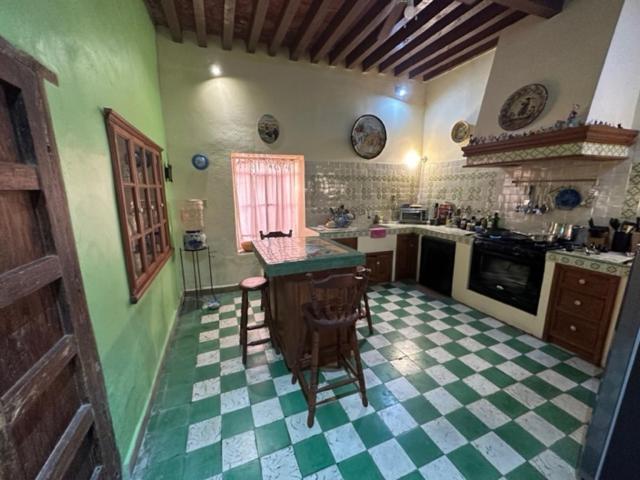 瓜纳华托Antigua Casa Del Limon别墅 外观 照片