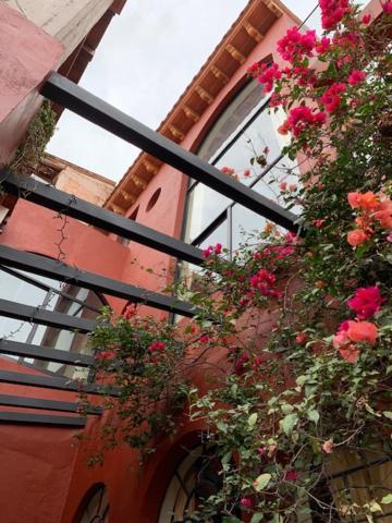 瓜纳华托Antigua Casa Del Limon别墅 外观 照片