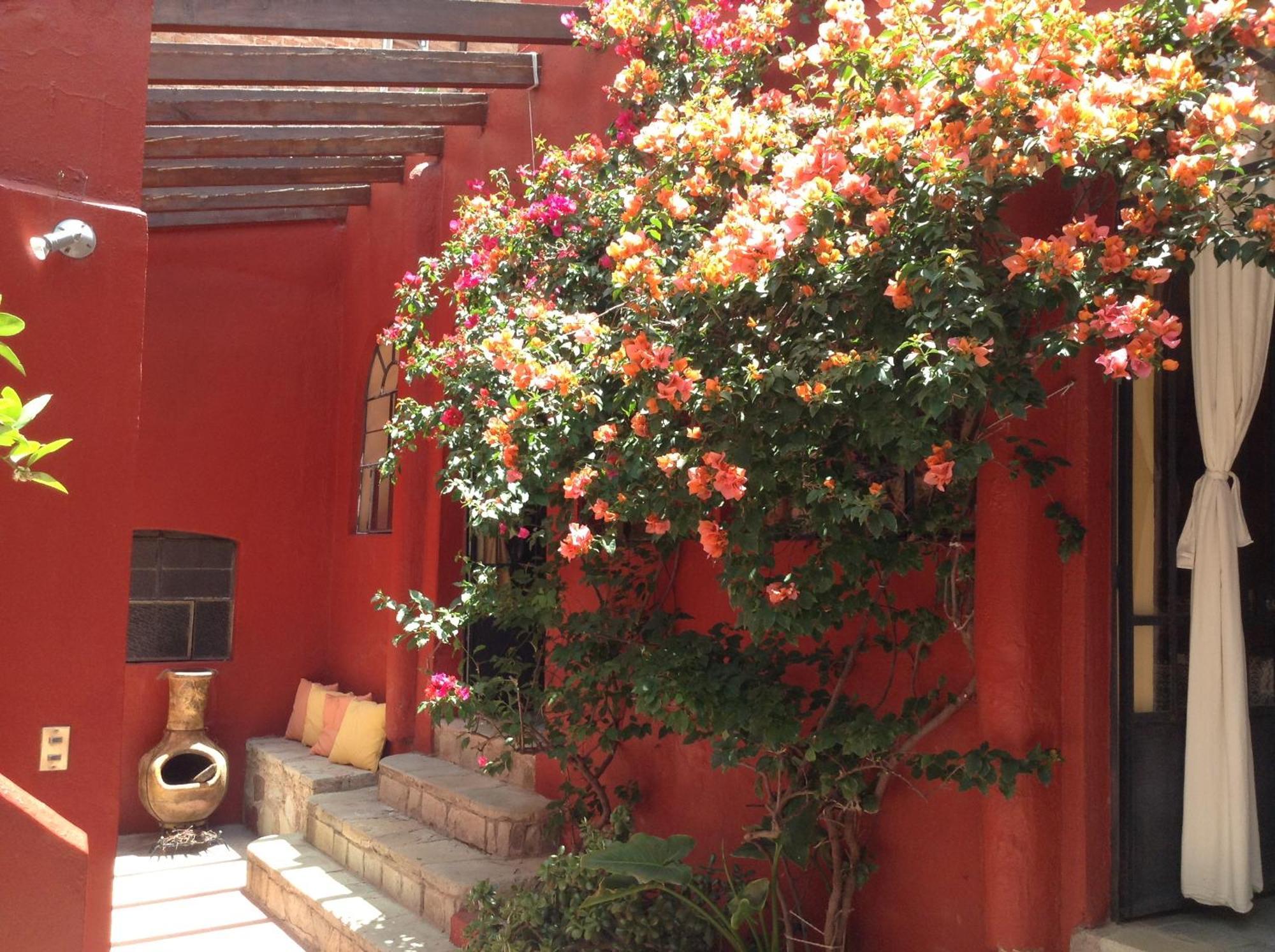 瓜纳华托Antigua Casa Del Limon别墅 外观 照片